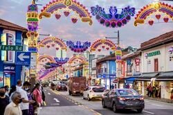 Little India Conservation Area (D8), Shop House #557821261